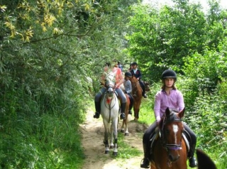  Gita e cavalcata a cavallo